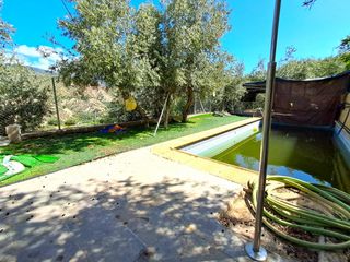 Masia a Alcolea. Encantador cortijo en venta con piscina
