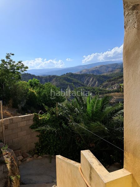 Foto 66897564-45bb-4320-a06a-f8951869d6e0. Casa a Alcolea