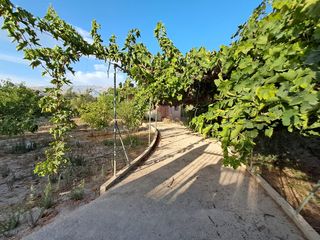 Masia a Berja. Finca rústica con casa, olivos, frutales y agua de riego en berj