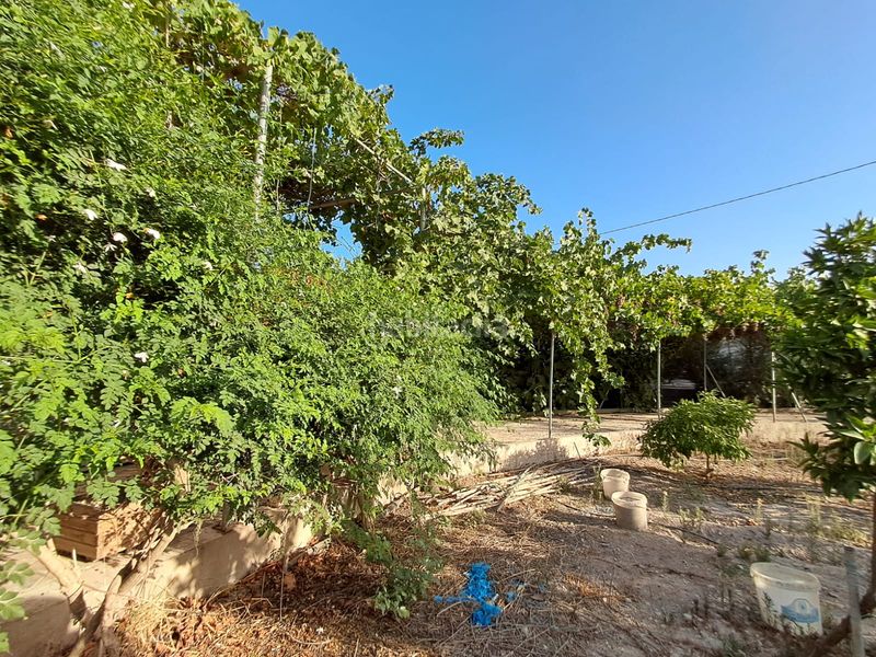 Foto bd5e739c-8e3d-4401-bd61-a9c81cfed603. Masia amb xemeneia a Berja