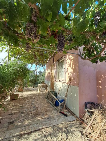 Foto d7426548-b750-4a85-bae8-ac9fe6433106. Masia amb xemeneia a Berja