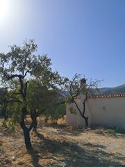 Country house  N/a. Cortijo con terreno y olivos