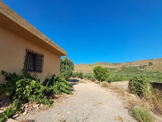 Bauernhof in Alcolea. Cortijo con 43.500 m² de olivar y 500 olivos