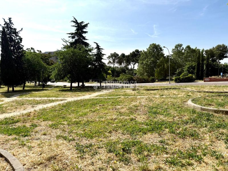 Foto 627d9bdc-bc7a-4c71-86f4-516721778949. Pis a Puerta Bonita Madrid