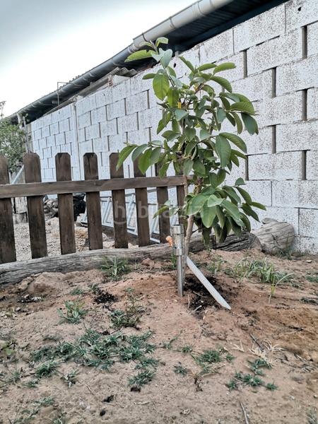 Foto 33c18924-e6d3-47e8-a615-adb00c0333ca. Xalet amb xemeneia aparcament a El Marenyet Cullera