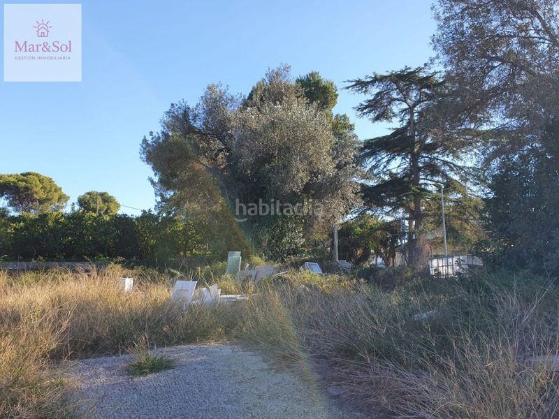 Foto f0d857bb-f235-4d3e-a829-4fbd7dadc5a1. Terreny residencial a Polinyà de Xúquer