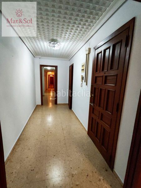 Foto cc7cf65d-e46c-4556-b272-e4c082f93a36. Pis a Sueca Sueca