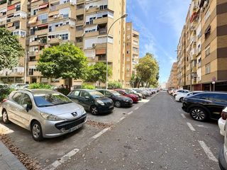 Pis a San Carlos - San José