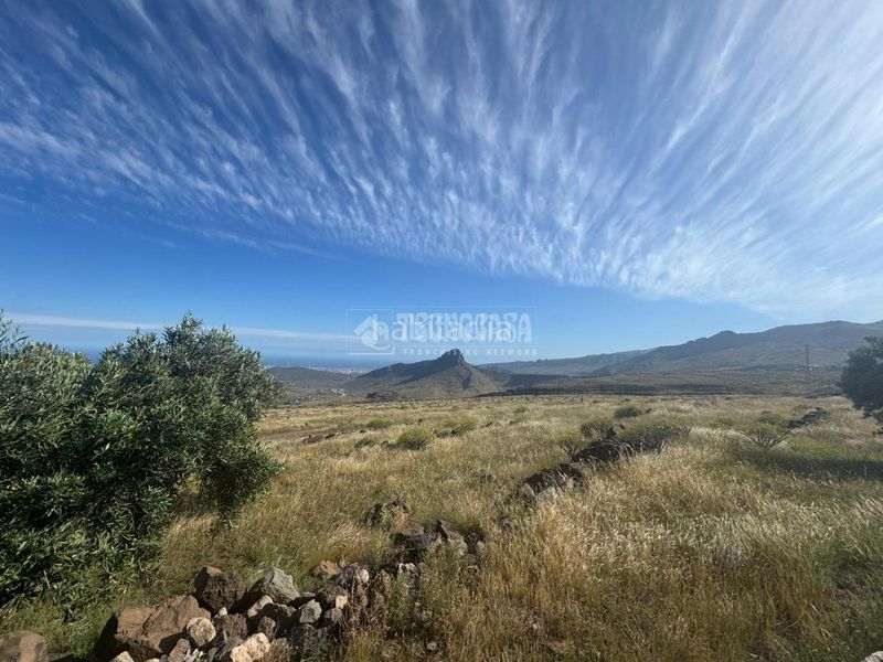 Foto dee0a8e8-239f-4f4a-97d2-db11c3042c40. Finca rústica a Agüimes - temisas Agüimes
