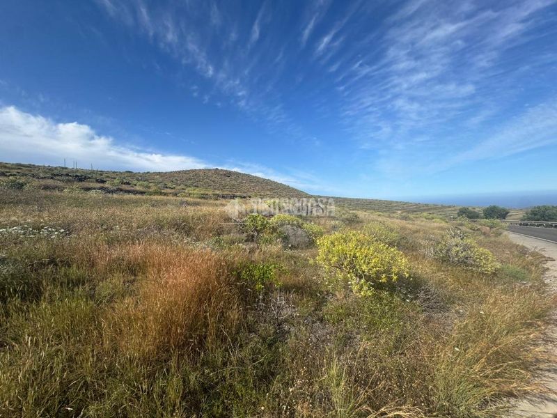 Foto f8a5c772-6484-48bf-b194-e6c586528e81. Finca rústica a Agüimes - temisas Agüimes
