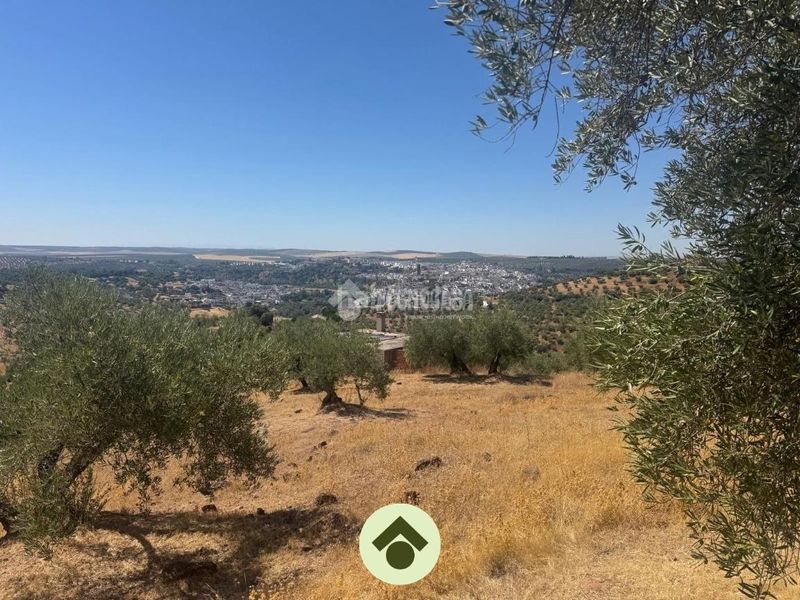 Foto 0fd0f200-a2b5-4973-8cb8-84ea3eb1762b. Residential plot in Montoro