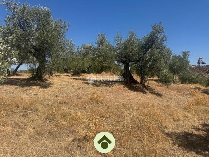 Foto 27bc2b5d-bf73-4130-bded-e251a6e226a9. Residential plot in Montoro