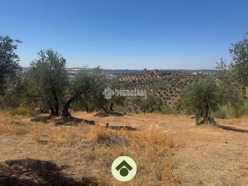 Foto 7f2cf6ca-84eb-4718-b96a-d7fd0f9e83e8. Residential plot in Montoro