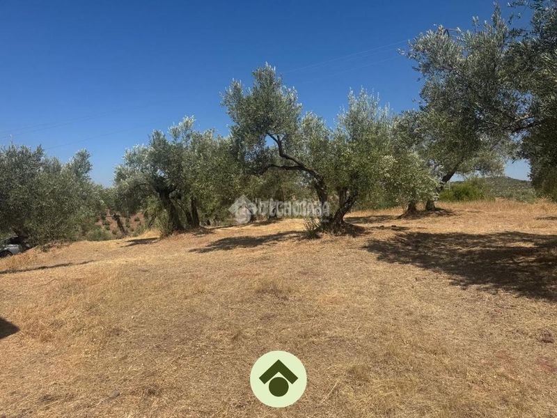 Foto e3706388-8dea-42d0-906d-0f828d5a55f9. Residential plot in Montoro