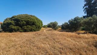 Fondo rustico in Calle carboneros 60. Parcela registrada de 700 m2 urbanizable en el pou muy cerca de