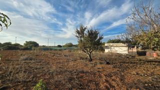 Finca rústica en Camino torre de los arcos 20. En venta parcla segregada de 4.471 m2 en zona pinar de los franc