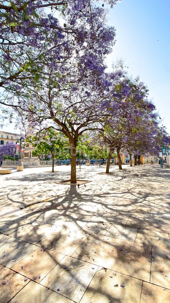 Foto f2162398-0a6a-4f65-8472-aa5b3bb24827. Pis a El Ejido Málaga
