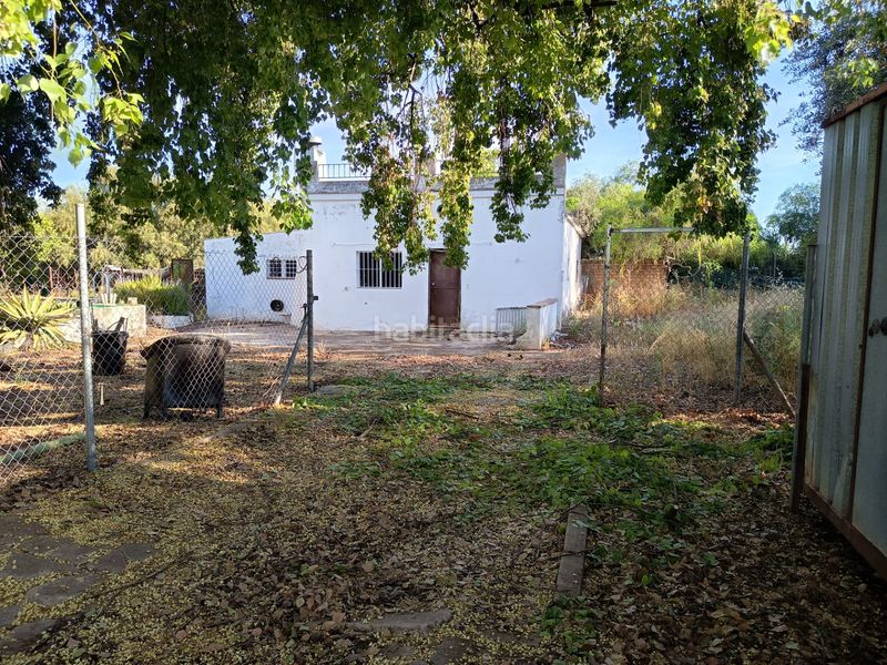 Foto 3f0fbc97-2926-463d-9d01-5334cf7473e8. Xalet a Palomares del Río