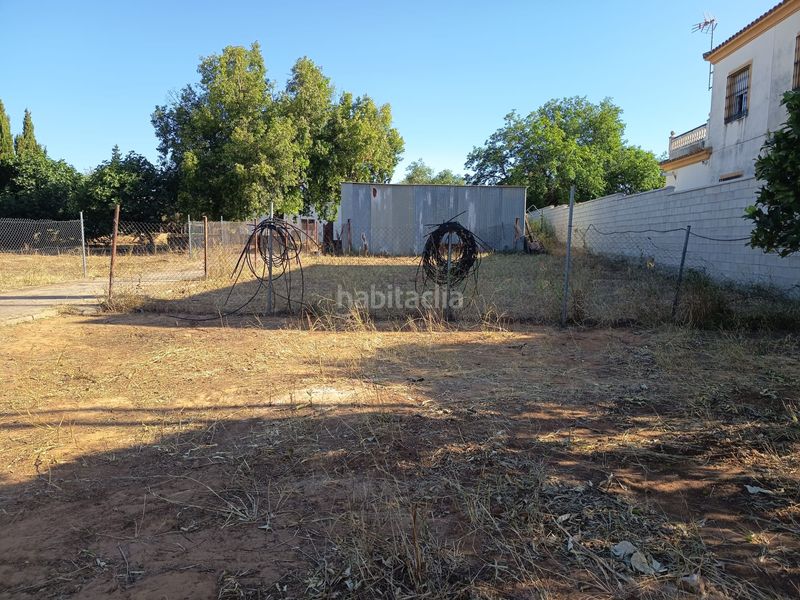 Foto d3e38deb-b7f2-44c6-97ae-cbdb8593cb8c. Xalet a Palomares del Río