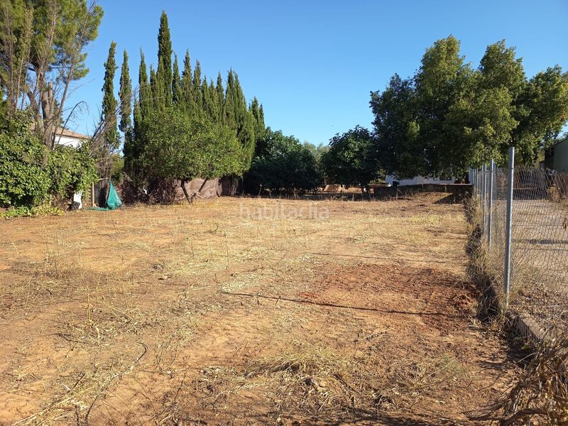 Foto db20a6a3-643a-4ee0-8c66-5db5429a2c08. Xalet a Palomares del Río
