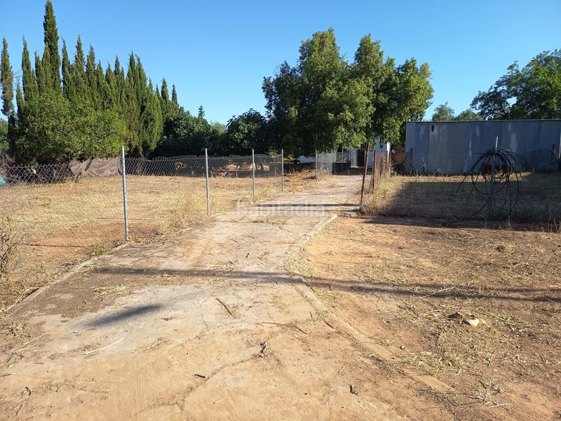 Foto f2a6a3ce-708c-4f31-b399-083e9e2647a0. Xalet a Palomares del Río