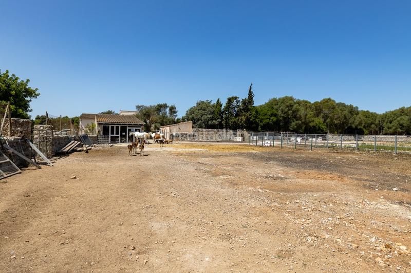 Foto 1b888c24-c0c3-4ee8-9594-10f1f212d577. Casale con piscina in Lloret de Vista Alegre