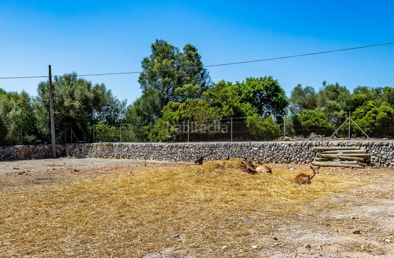 Foto b904b0d1-4560-4bff-ae4e-dd87a59adb13. Casale con piscina in Lloret de Vista Alegre