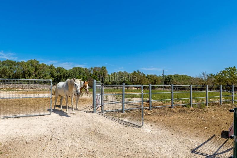Foto f3cbf8ce-a9a0-498d-aa09-18bdc96d2320. Casale con piscina in Lloret de Vista Alegre
