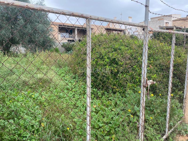 Foto 0f3bf948-e02a-4274-b838-165d76235ebc. Terrain résidentiel dans Porreres