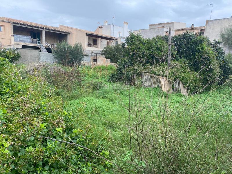 Foto 3e90fa0d-0aa5-4073-bcab-50a8bb5e7ffa. Terrain résidentiel dans Porreres