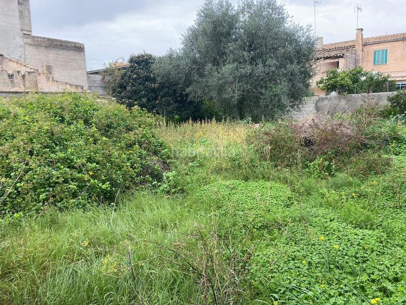 Foto 77213f4e-459c-4ae0-93e7-b0ba6b9cd790. Terrain résidentiel dans Porreres