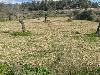 Proprit dans Marratxinet. Se vende terreno no edificable en marratx