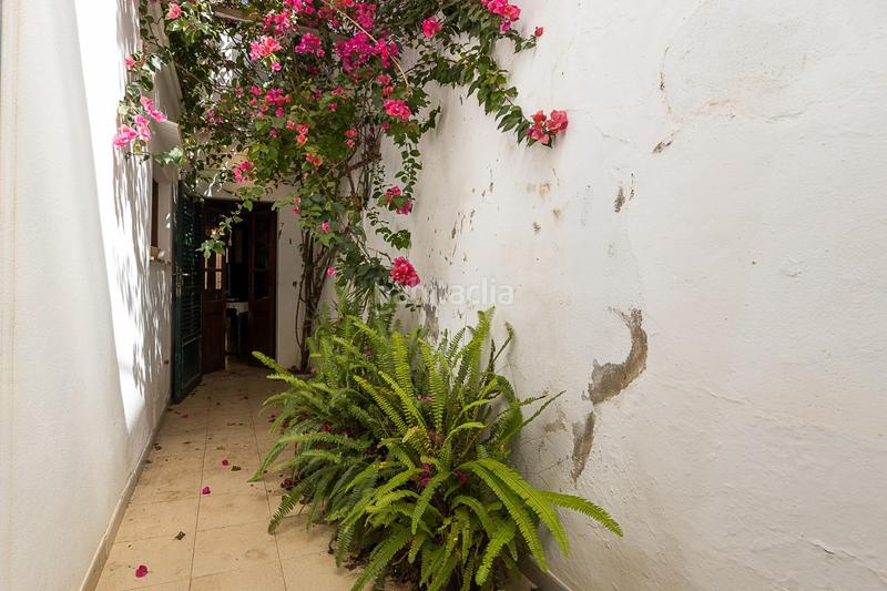 Foto 2e569e94-4280-4b73-bac9-7d7147196ce5. Casa  con encanto mallorquín en Pollença poble Pollença