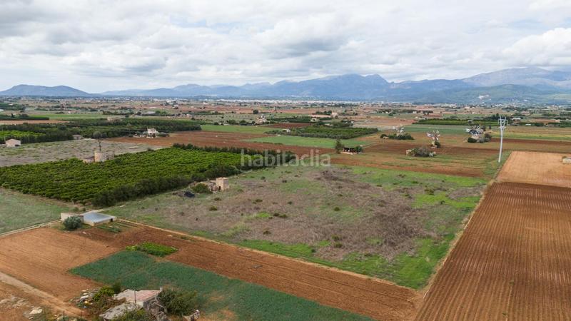 Foto a3b31234-2f29-48f7-ba71-a30c1a4b5a29. Terreny residencial a Muro