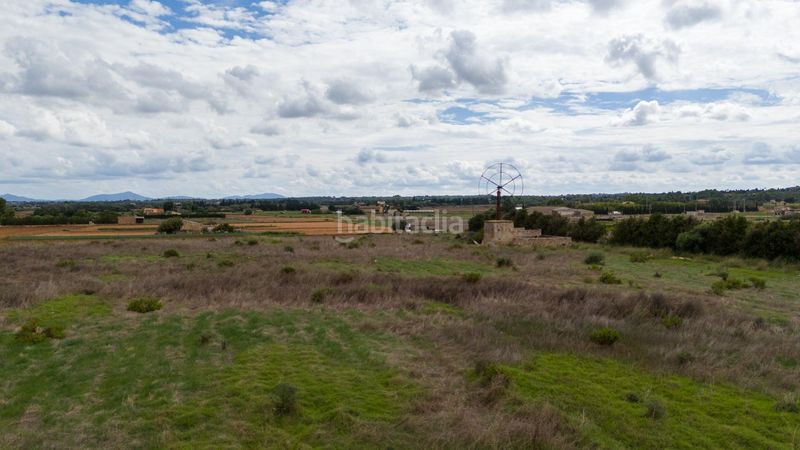 Foto 53c5489c-3437-42b5-9be7-4ea17a117ac0. Residential plot in Muro
