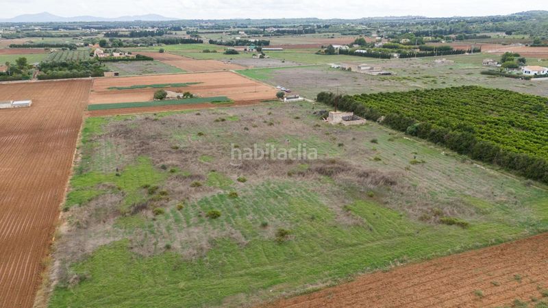 Foto 5692beaf-2bb4-4689-ac78-39e61ad58494. Residential plot in Muro