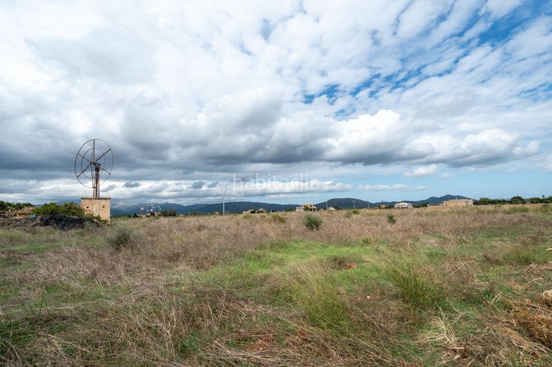 Foto 57ed2860-889b-4e1c-aedd-86eae89c799e. Residential plot in Muro
