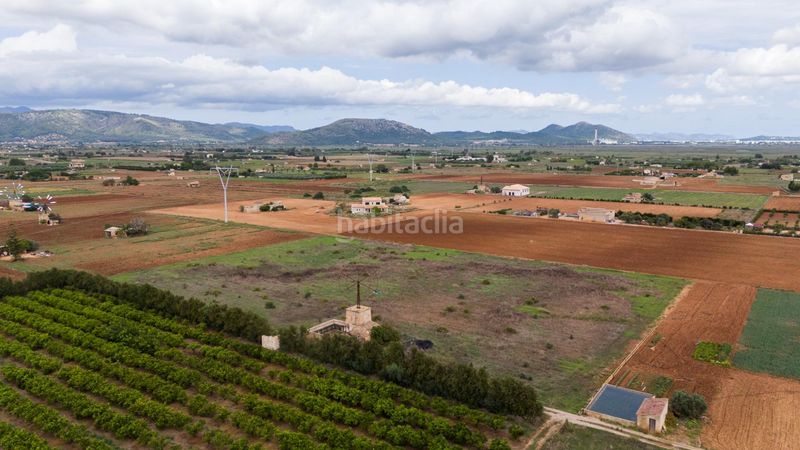 Foto 58a66143-63ff-4d8f-b511-973ab3fdbdb3. Residential plot in Muro