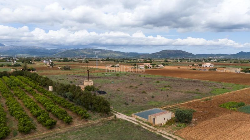 Foto 7bf54f36-5aeb-423a-bea5-93642450730d. Residential plot in Muro