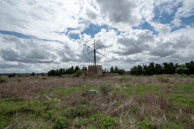 Foto a50e9647-e0d3-4898-bd1a-63120027e819. Residential plot in Muro