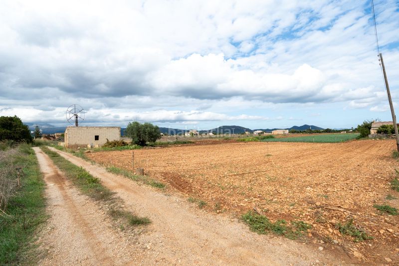 Foto d8dff2f7-97d6-4970-893a-ea0e78f4a22a. Residential plot in Muro