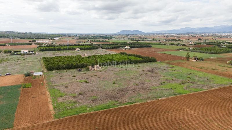 Foto ec8d8cba-38a8-4578-9ed1-efc7160ca478. Residential plot in Muro