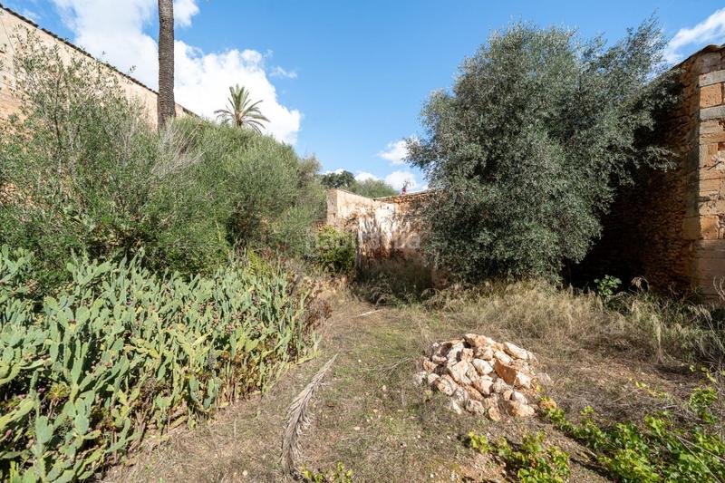 Foto d06a0c48-c9e0-4c28-9ee1-53456fa3d673. Maison avec parking dans Campos