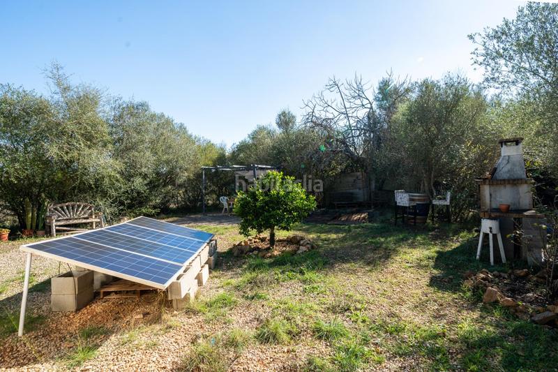 Foto 1046bdc2-3e2c-46c5-8191-9d18072dbd68. Finca rústica a Petra