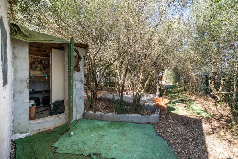 Foto 69c604ab-badb-4dc0-9a71-95de342f84f0. Finca rústica a Petra