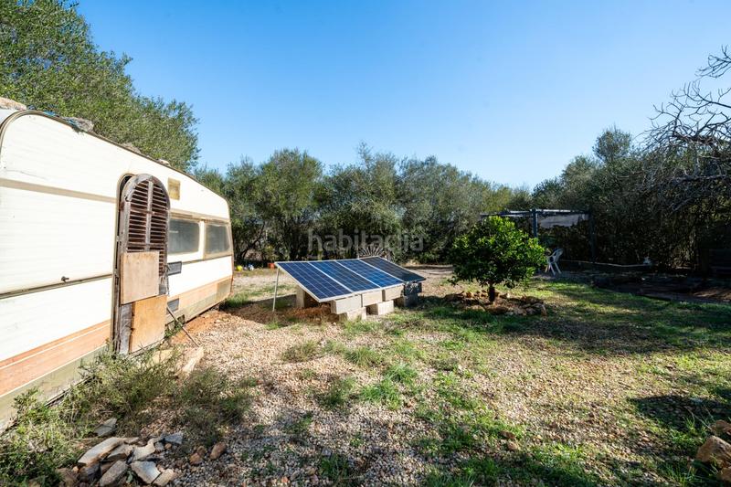 Foto 7c9559e3-5032-486c-adc4-e375adf95ca4. Finca rústica a Petra