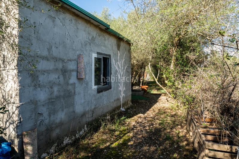 Foto a40f08d5-f4c1-4e60-a1a5-ea88081beecf. Finca rústica a Petra