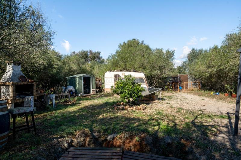 Foto b1577cf8-d1a7-418e-a9be-019a1ed6ec95. Finca rústica a Petra