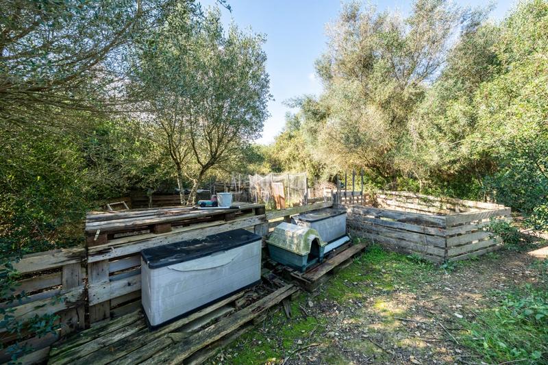 Foto e0bd54b2-22c4-4aef-82dc-685bdb02873a. Finca rústica a Petra