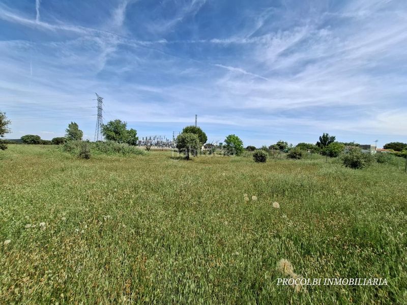 Foto 0b6c3b0d-996d-4b8e-8e51-2860d3e8354c. Terreno residencial en Casar (El)